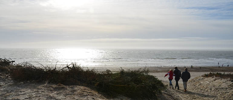 vesterhavet og klitter