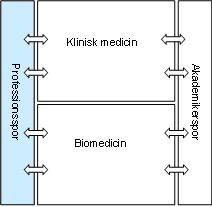 Professionssporet - organisation