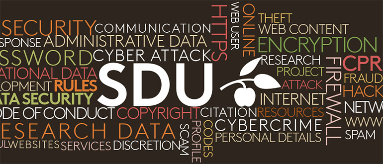 Data protection at SDU