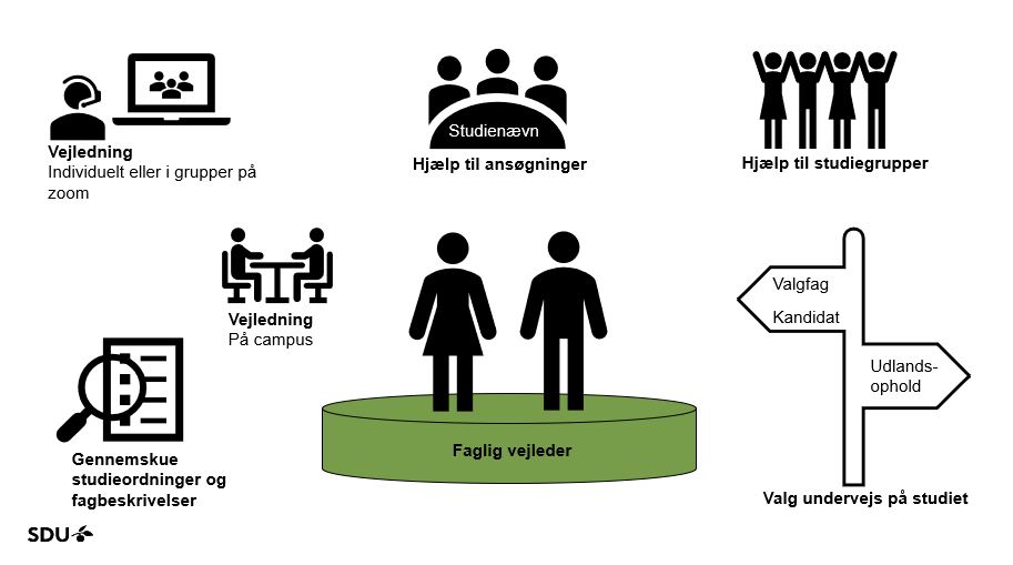 Infografik om studievejledning og valg under studiet på SDU Infografik fra SDU om studievejledning med ikoner for zoomvejledning, ansøgningshjælp, studiegrupper, campusvejledning, studieordninger, Faglig vejleder og valg undervejs på studiet.