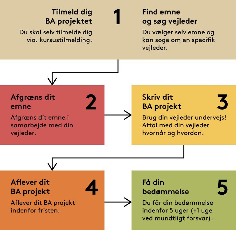 BA-proces_dansk_tildeling-af-vejleder_audiologopaedi