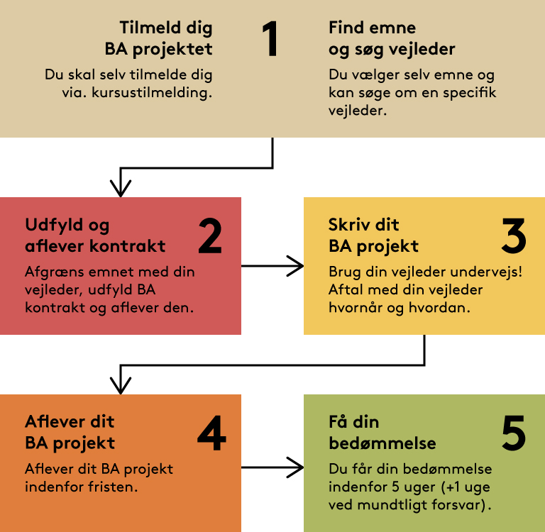 BA-proces_dansk_tildeling_af_vejleder_2