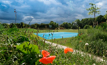 Billedet viser baskeballbanen, som er et af fællesområderne på Campus Kollegiet