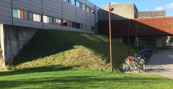 Græsområder på campus i Odense 
