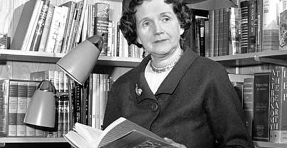 © Photo by orionpozo on Foter.com